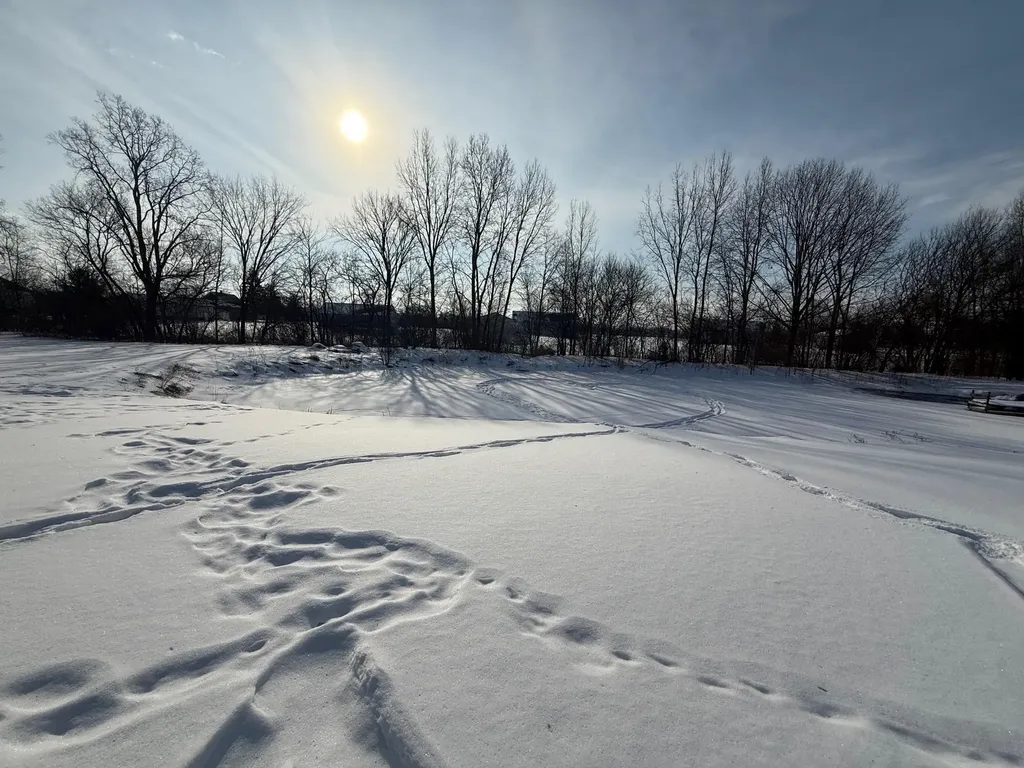 12160 Neff Road Vienna Charter Township MI 48420