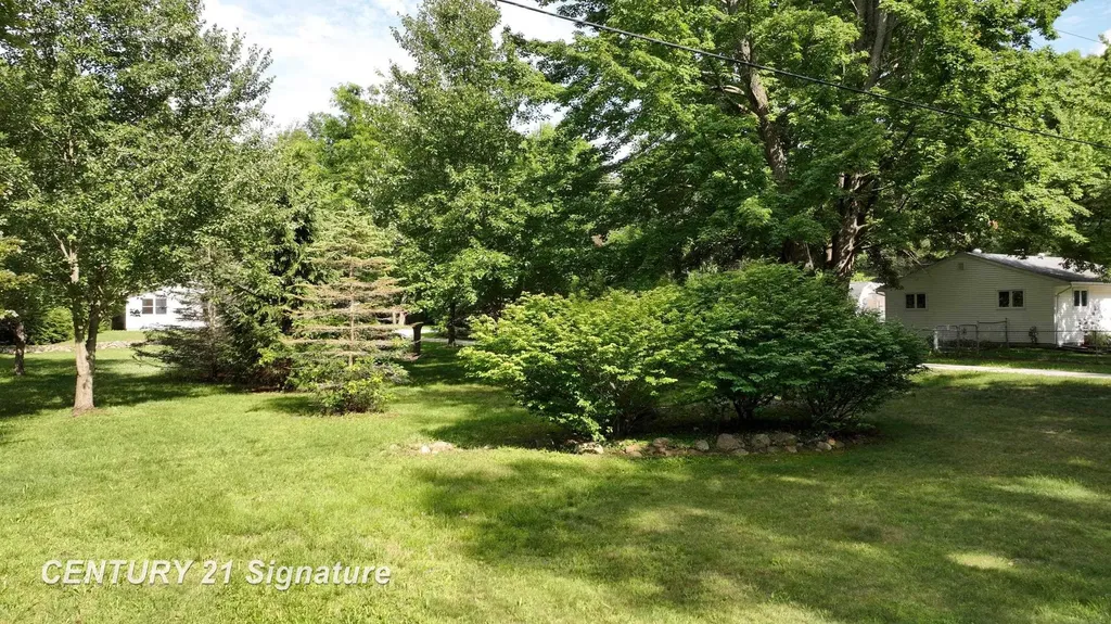 10293 Carr Road St. Charles Township MI 48655