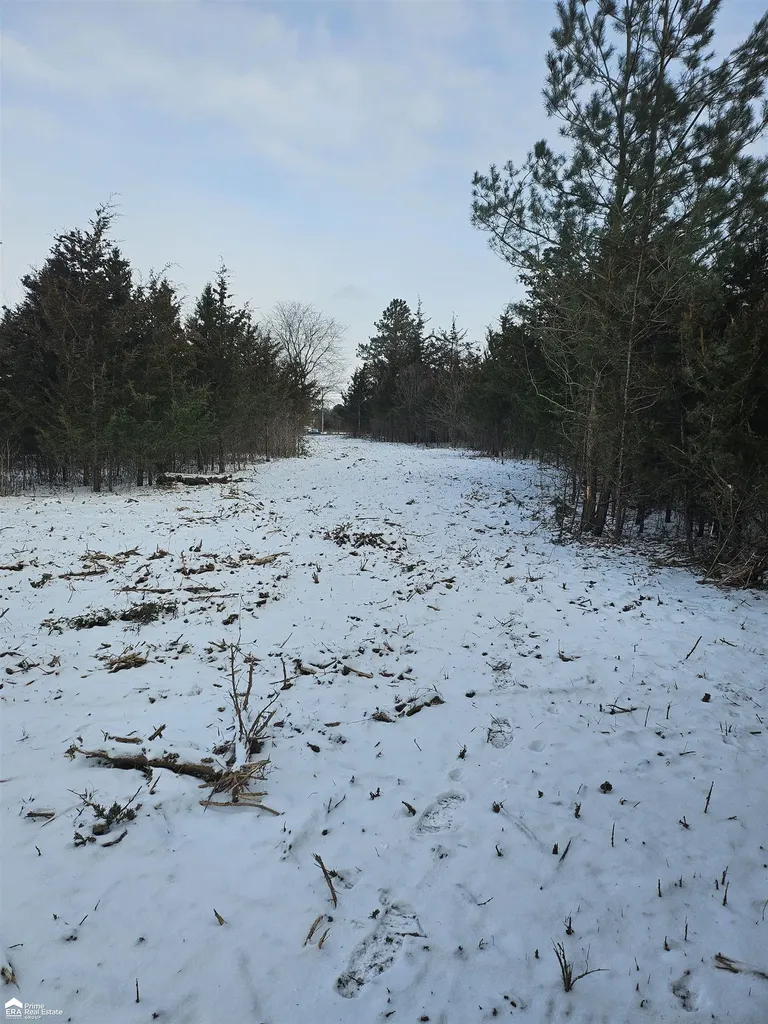 5455 Kelly Road Mt. Morris Township MI 48504