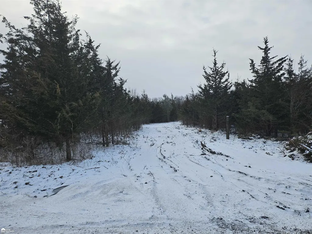5455 Kelly Road Mt. Morris Township MI 48504