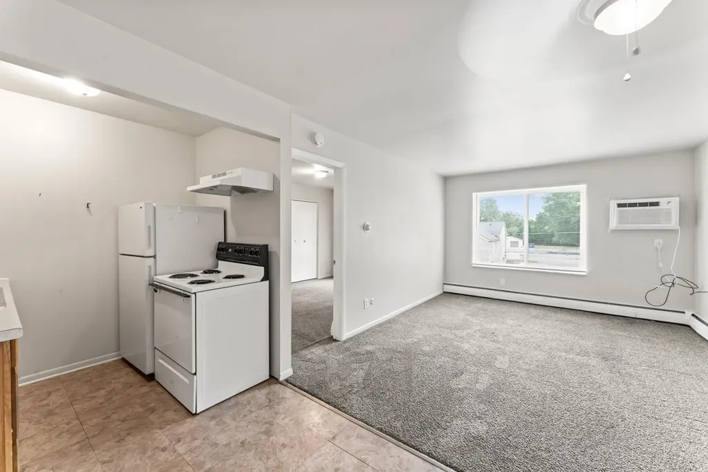 828 North Apt. #17 Street Mt. Morris Township MI 48458