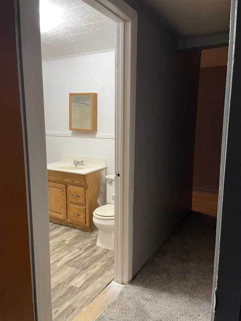 242 S East Street Vassar City MI 48768