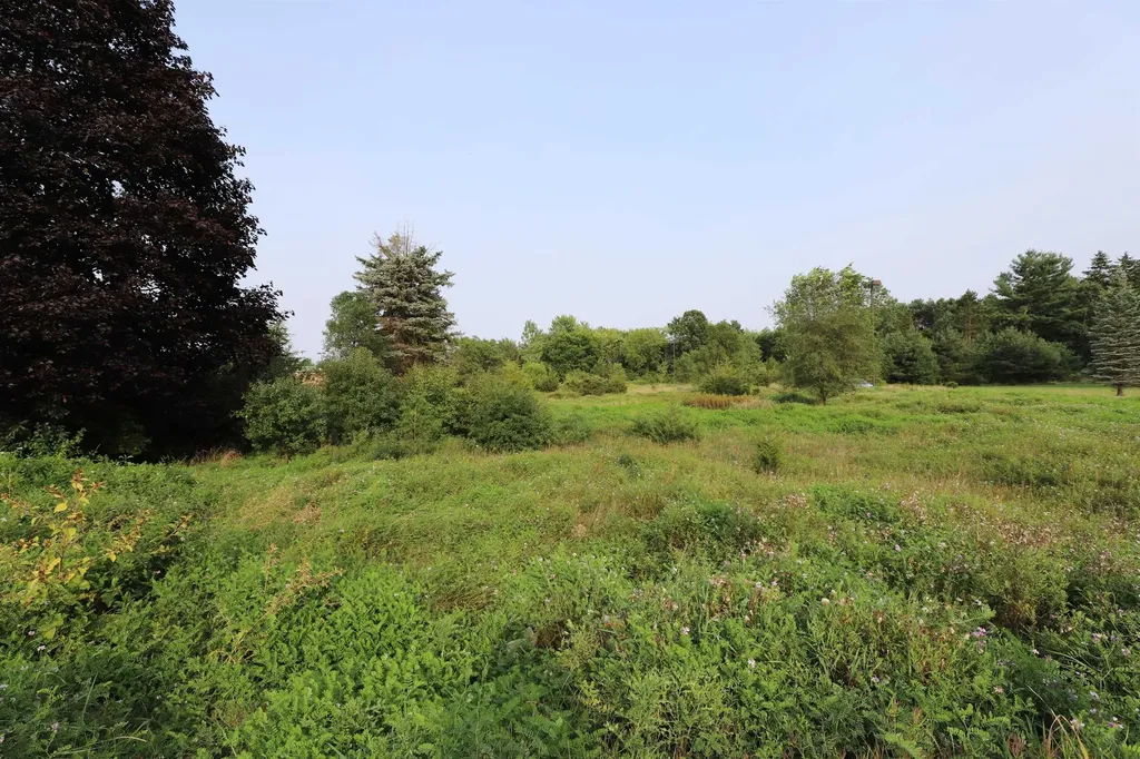 3452-3466-3480 Elms Road Mt. Morris Township MI 48433