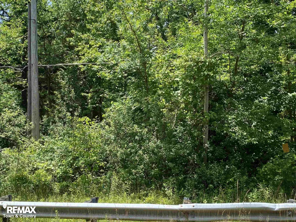 0 River Road Flushing Charter Township MI 48433