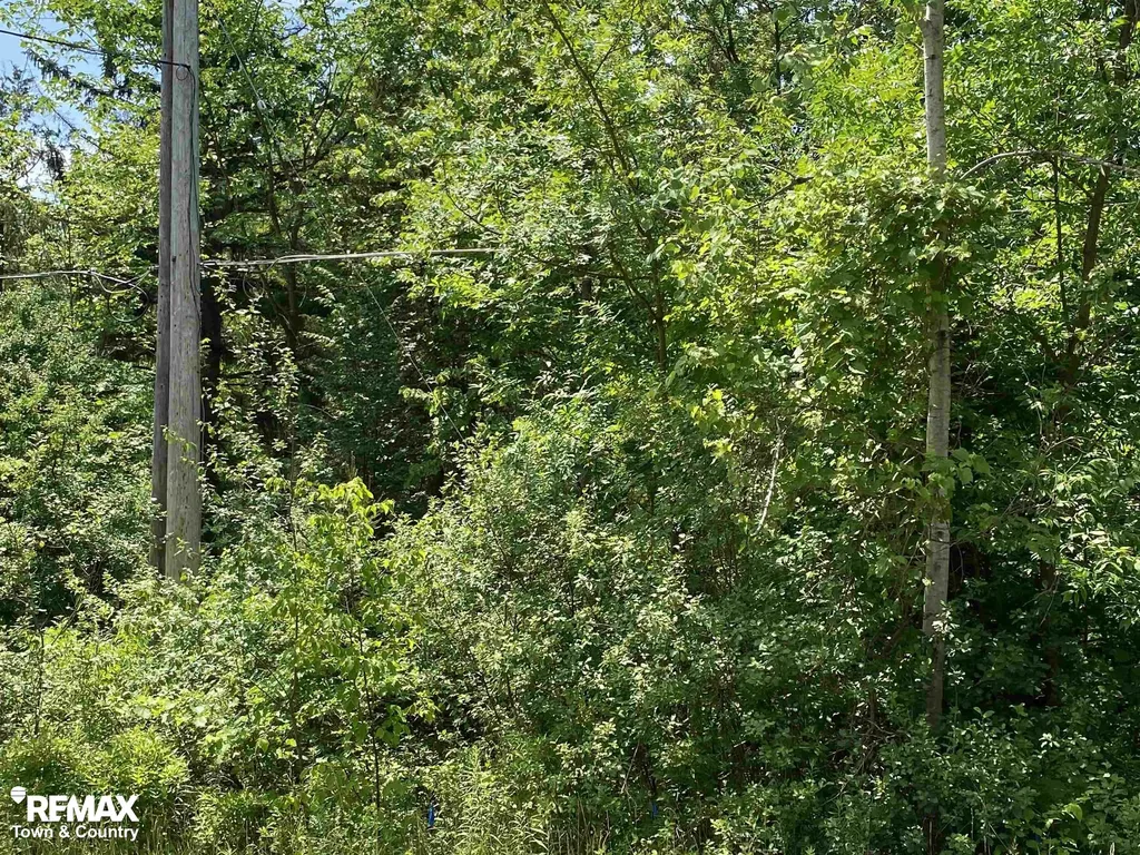 0 River Road Flushing Charter Township MI 48433