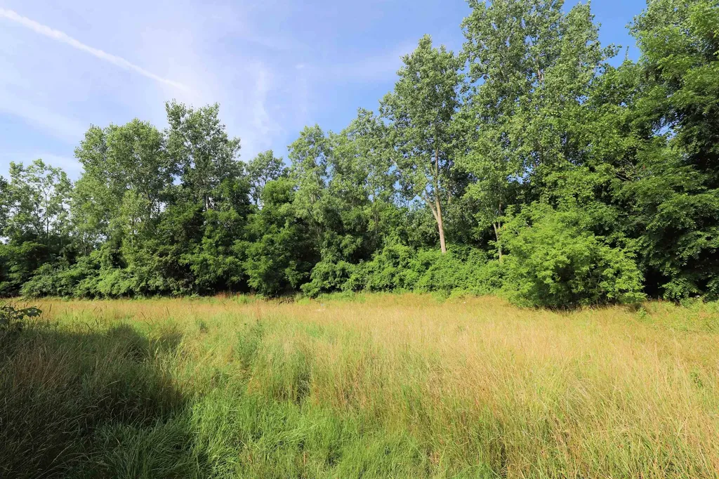 5165 Detroit Street Mt. Morris Township MI 48505