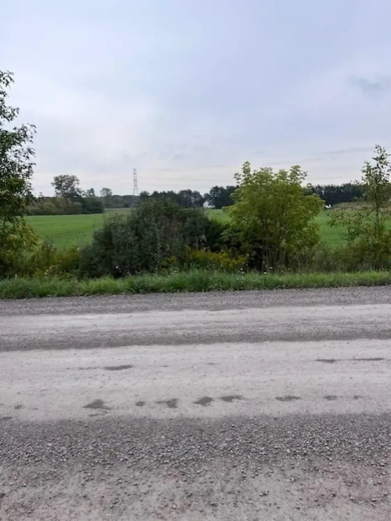 1051 N Cummings Road Davison Township MI 48423