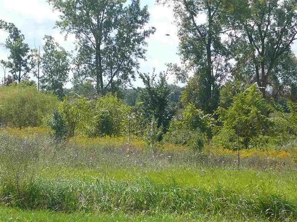 4235 Cahokia Ridge Fenton Charter Township MI 48451