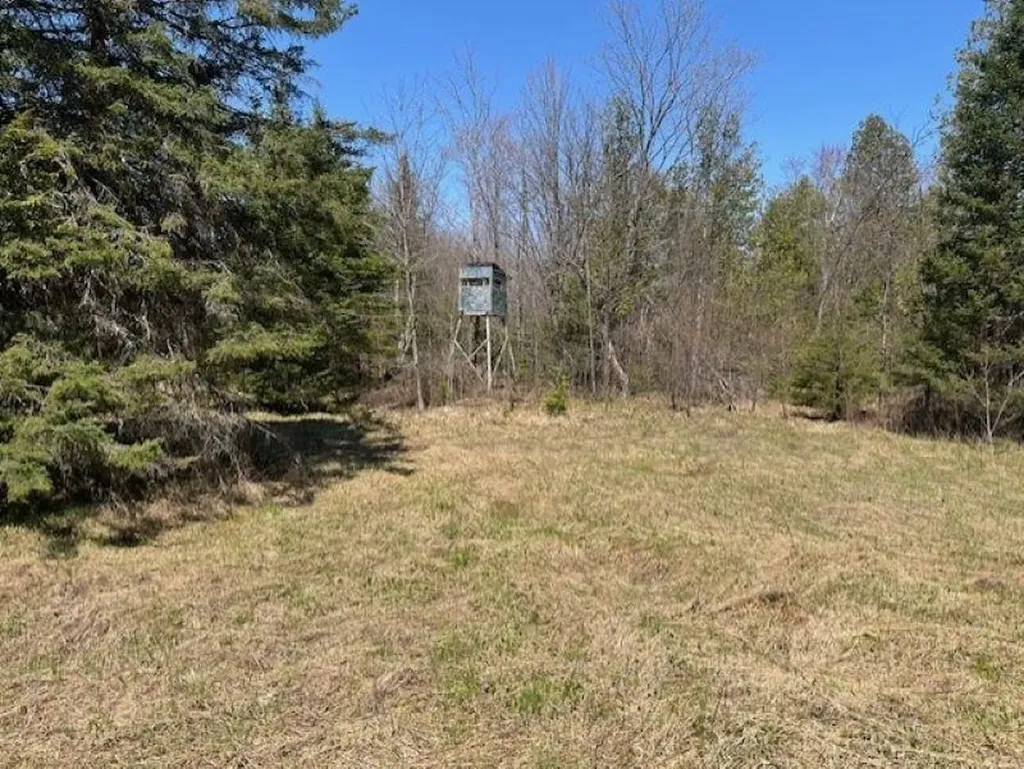 Tbd 00 Camp 23 Road Mueller Township MI 49836