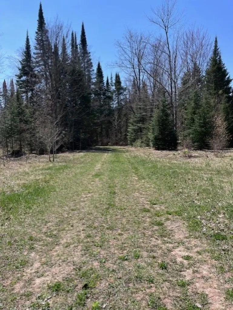 Tbd 00 Camp 23 Road Mueller Township MI 49836