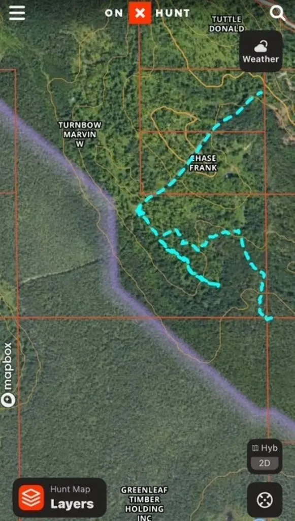 Tbd 00 Camp 23 Road Mueller Township MI 49836