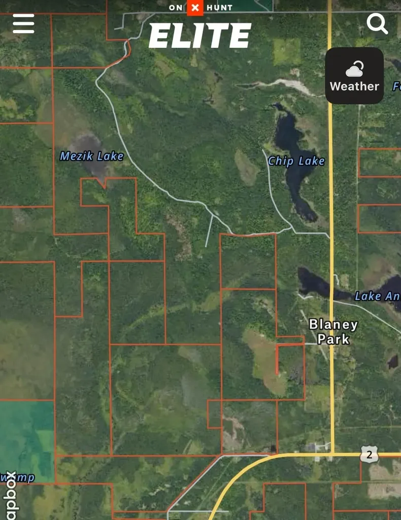 Tbd 00 Camp 23 Road Mueller Township MI 49836