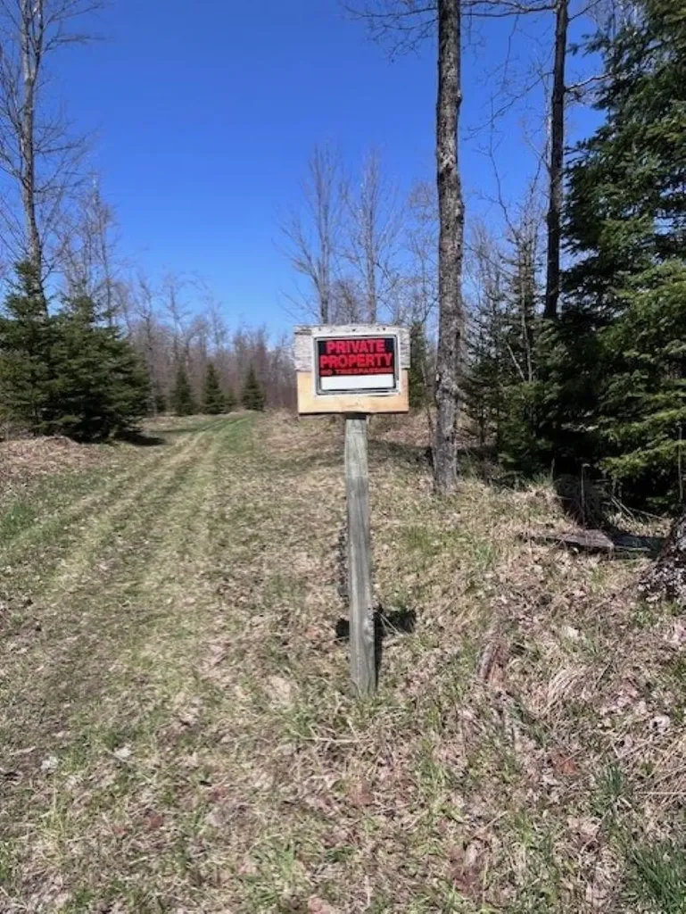 Tbd 00 Camp 23 Road Mueller Township MI 49836