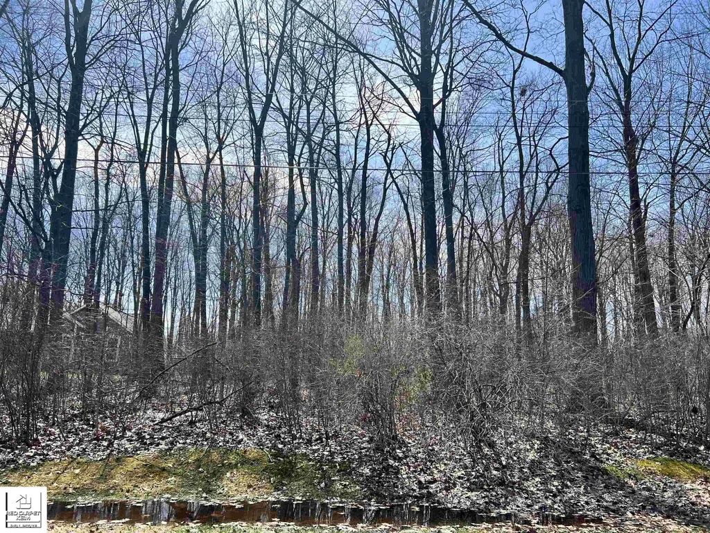 Schoolcraft Drive Davison Township MI 48423