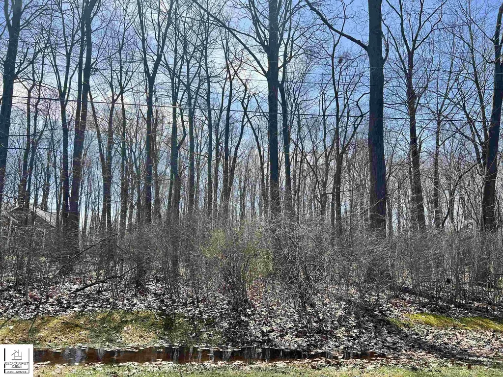 Schoolcraft Drive Davison Township MI 48423