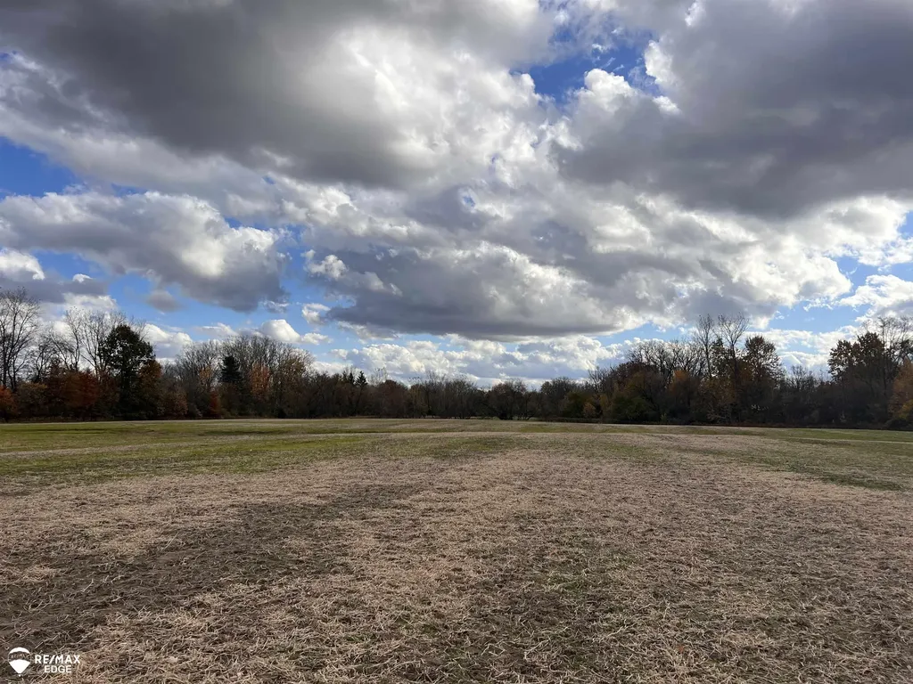 0 E Court Street Davison Township MI 48423