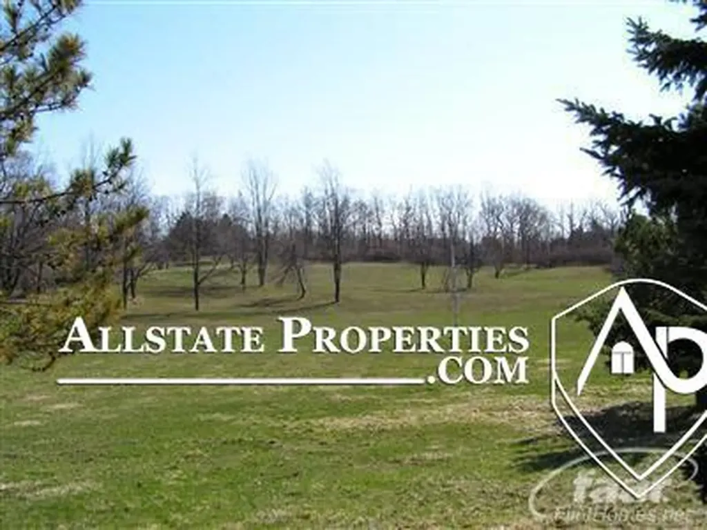 10425 Golfview Court Davison Township MI 48423