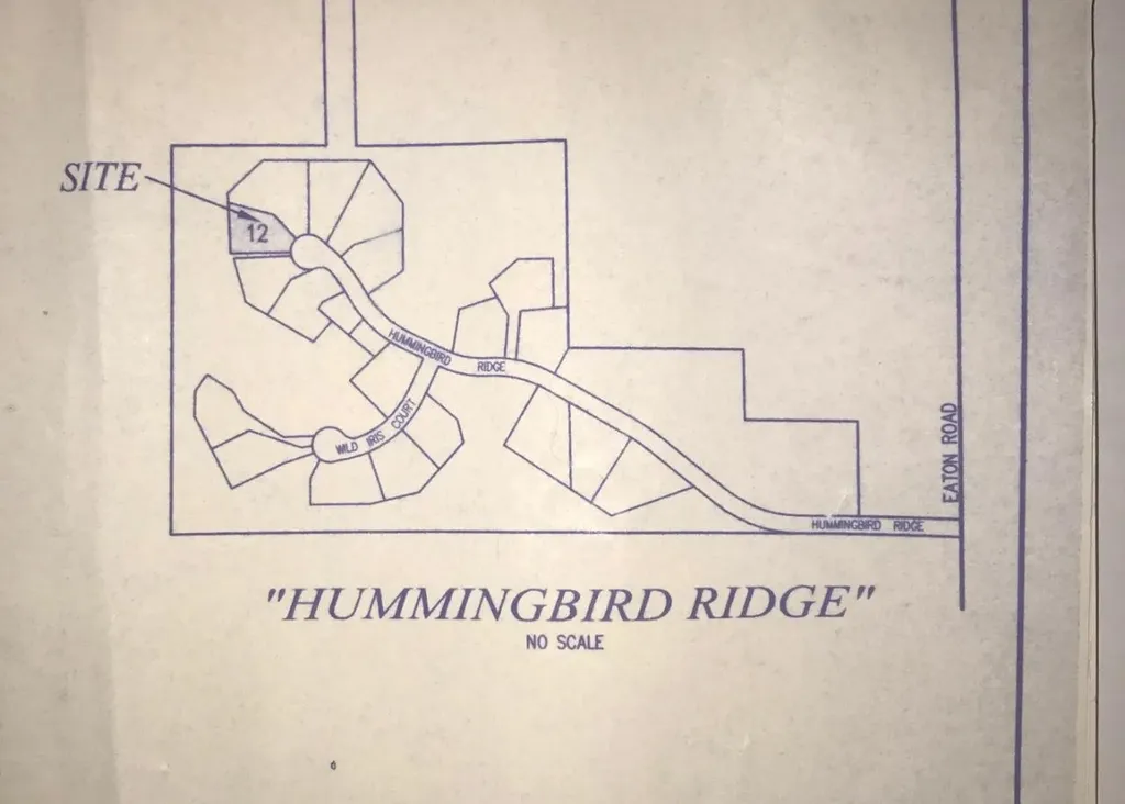13175 Hummingbird Ridge Springfield Charter Township MI 48350