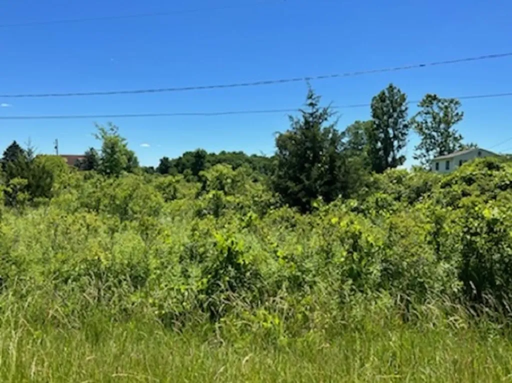 0 E Wilson Road Clio City MI 48420