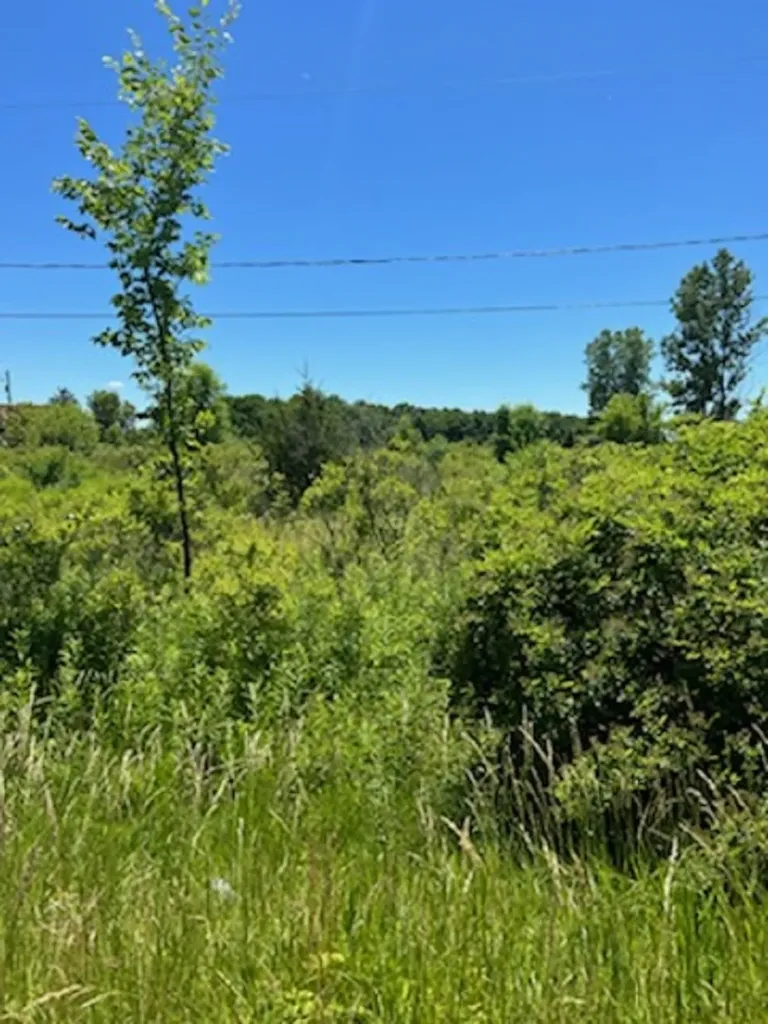 0 E Wilson Road Clio City MI 48420