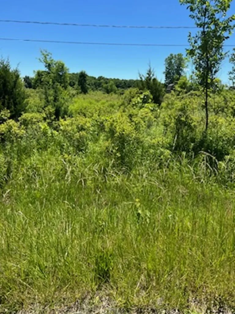 0 E Wilson Road Clio City MI 48420