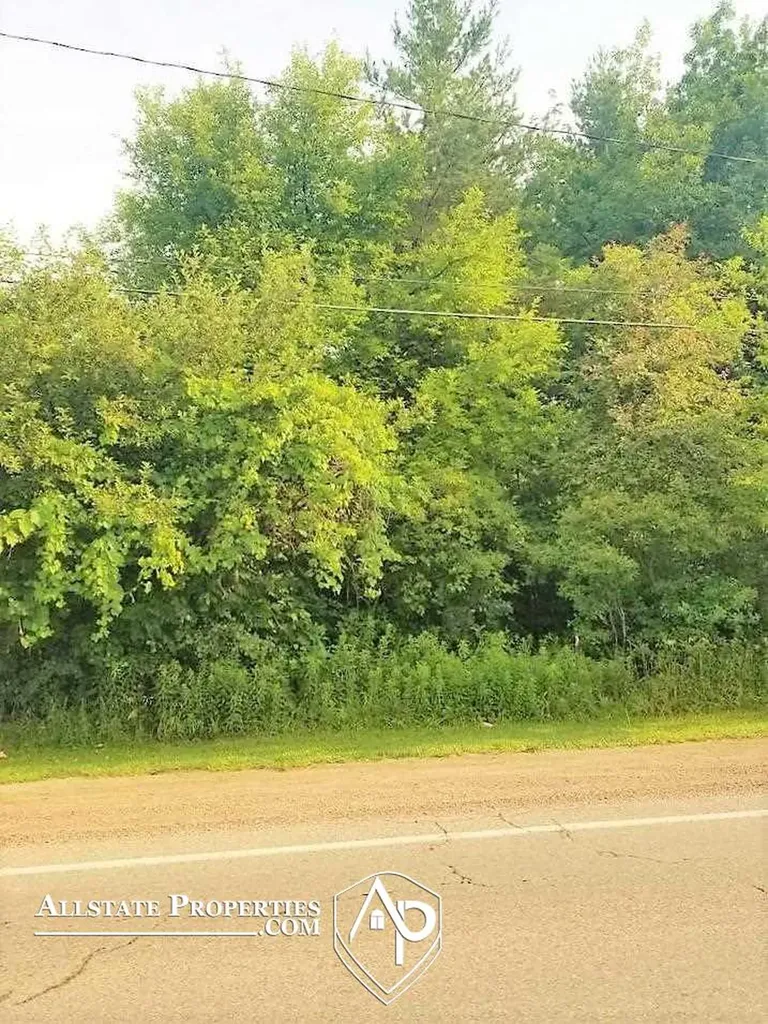 Lapeer Road Davison Township MI 48423