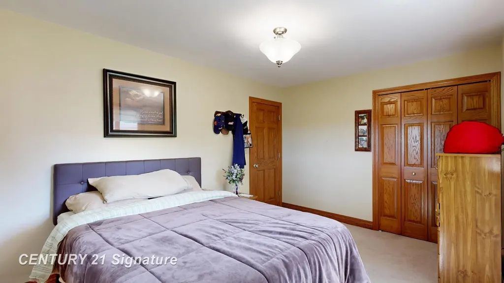 455 S Vernon Road Venice Township MI 48817