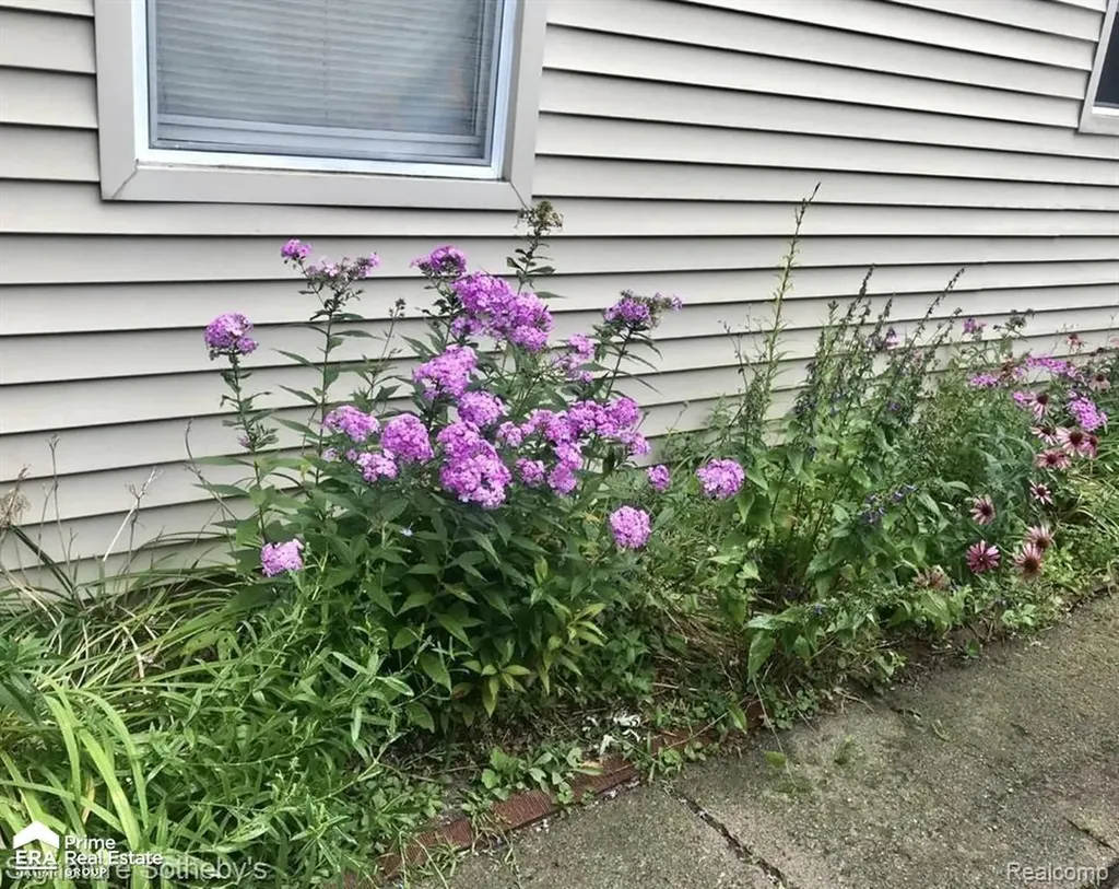 2816 Wisner Street Waterford Charter Township MI 48329