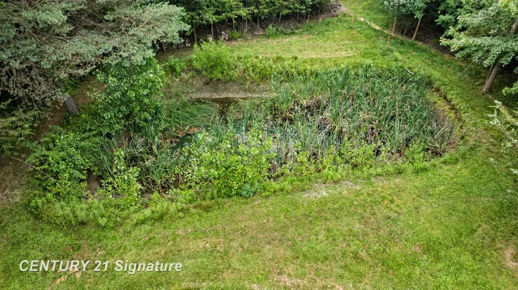 4386 N Elms Road Mt. Morris Township MI 48433