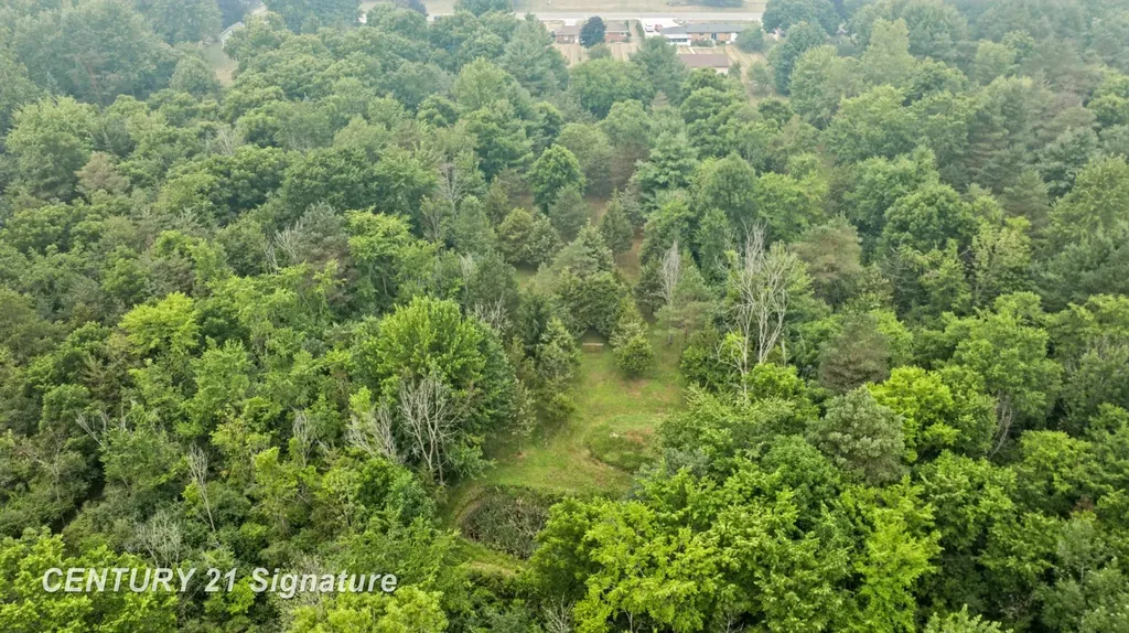 4386 N Elms Road Mt. Morris Township MI 48433
