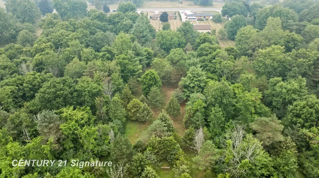 4386 N Elms Road Mt. Morris Township MI 48433