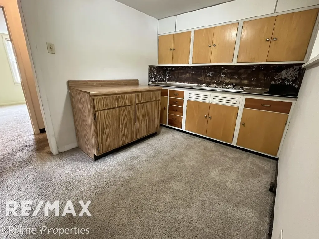 11410 Union Street Mt. Morris City MI 48458