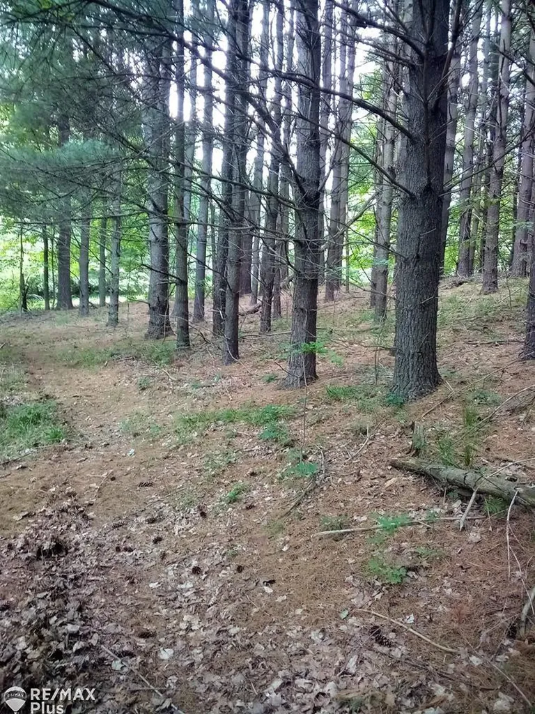 13152 Washburn Road Marathon Township MI 48464