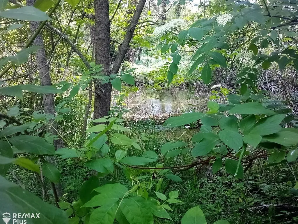 13152 Washburn Road Marathon Township MI 48464