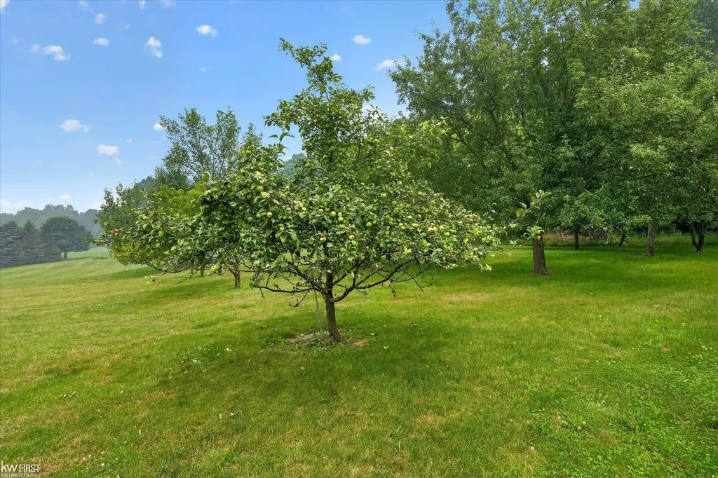 7110 Granger Drive Deerfield Township MI 48855