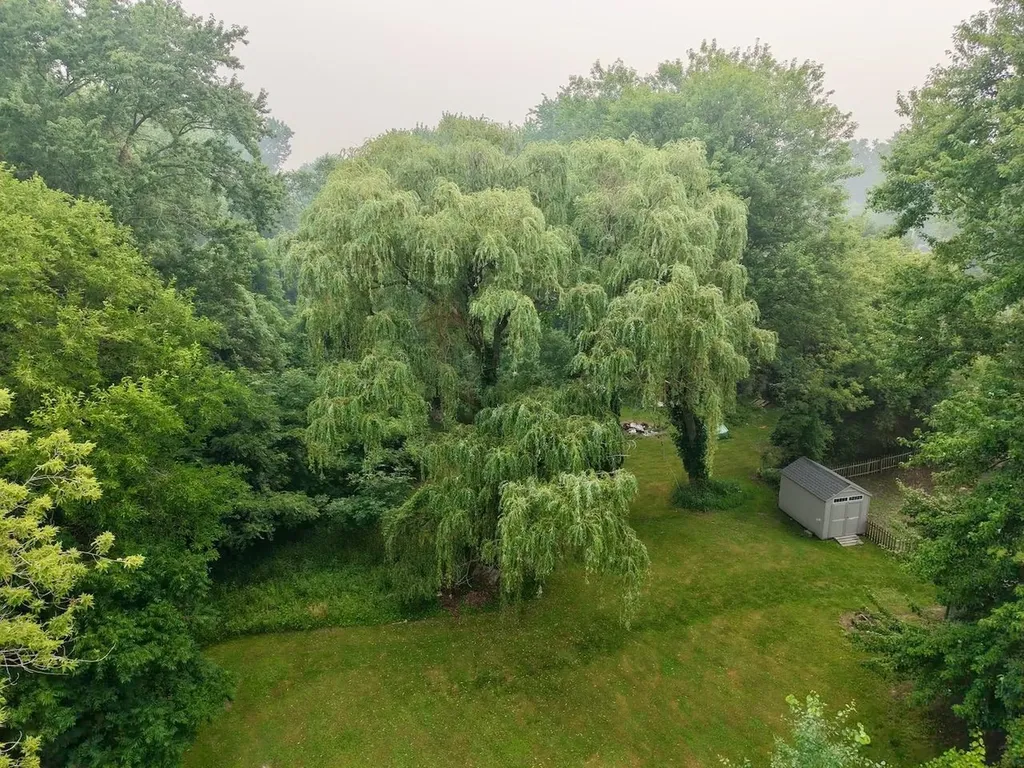 518 W Belle Avenue St. Charles Village MI 48655