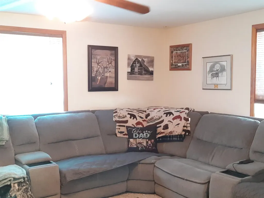 4112 W Sanilac Road Juniata Township MI 48768