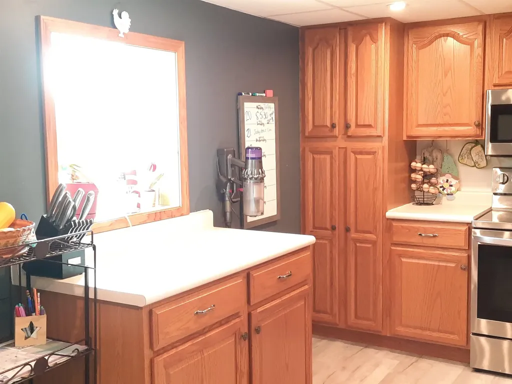 4112 W Sanilac Road Juniata Township MI 48768