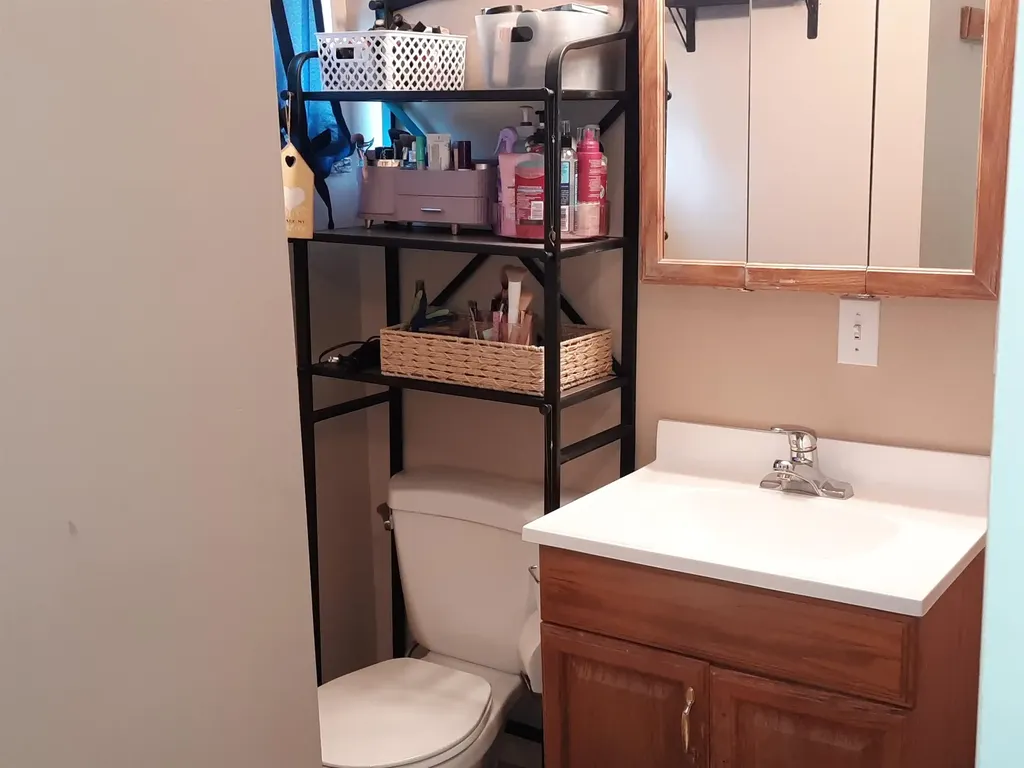 4112 W Sanilac Road Juniata Township MI 48768