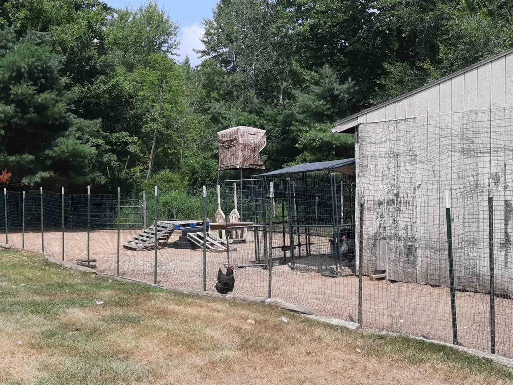 4112 W Sanilac Road Juniata Township MI 48768