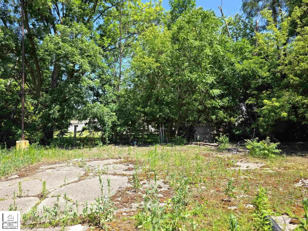 3106 W Pierson Road Mt. Morris Township MI 48504