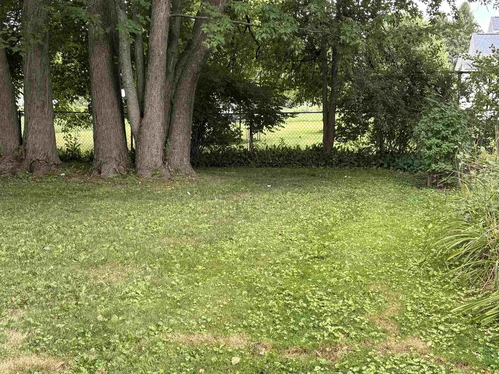 610 Cherry Street Clio City MI 48420