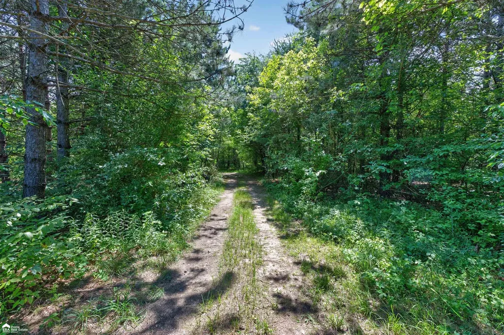 5498 Piersonville Road Marathon Township MI 48421