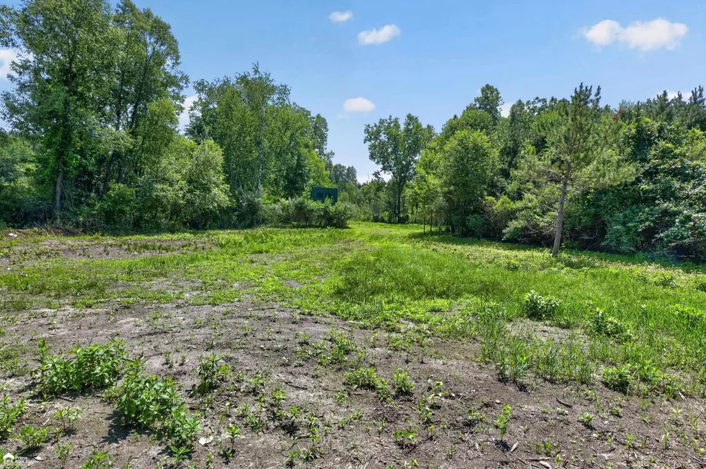 5498 Piersonville Road Marathon Township MI 48421