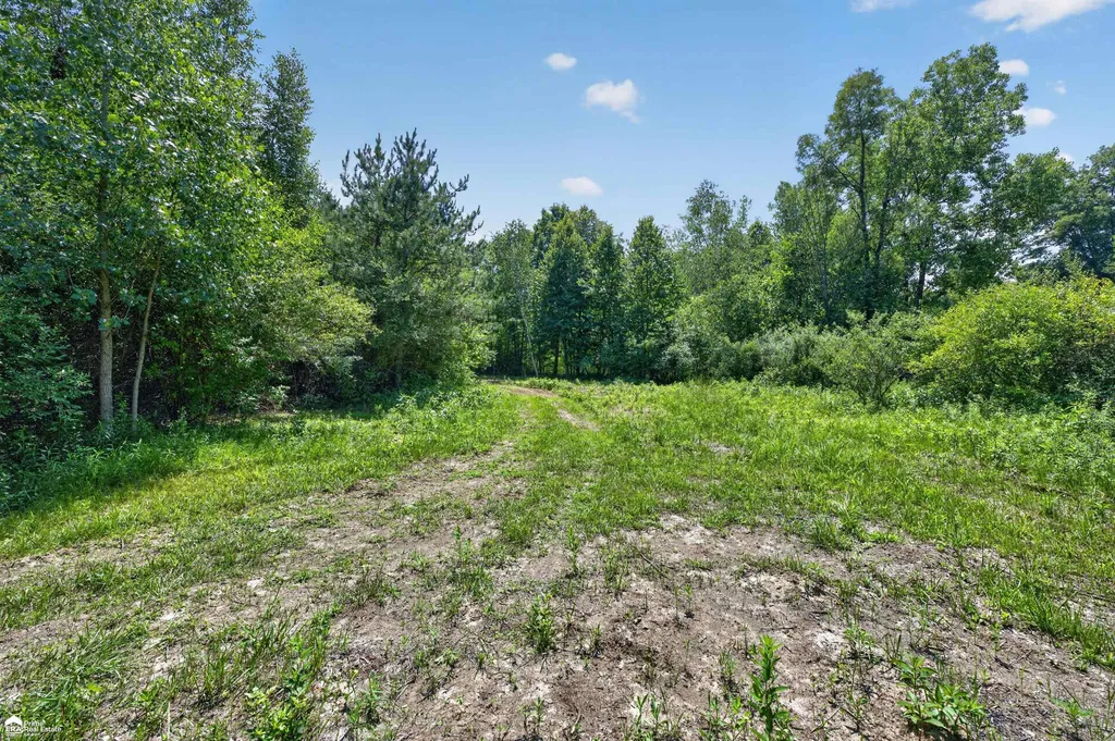 5498 Piersonville Road Marathon Township MI 48421