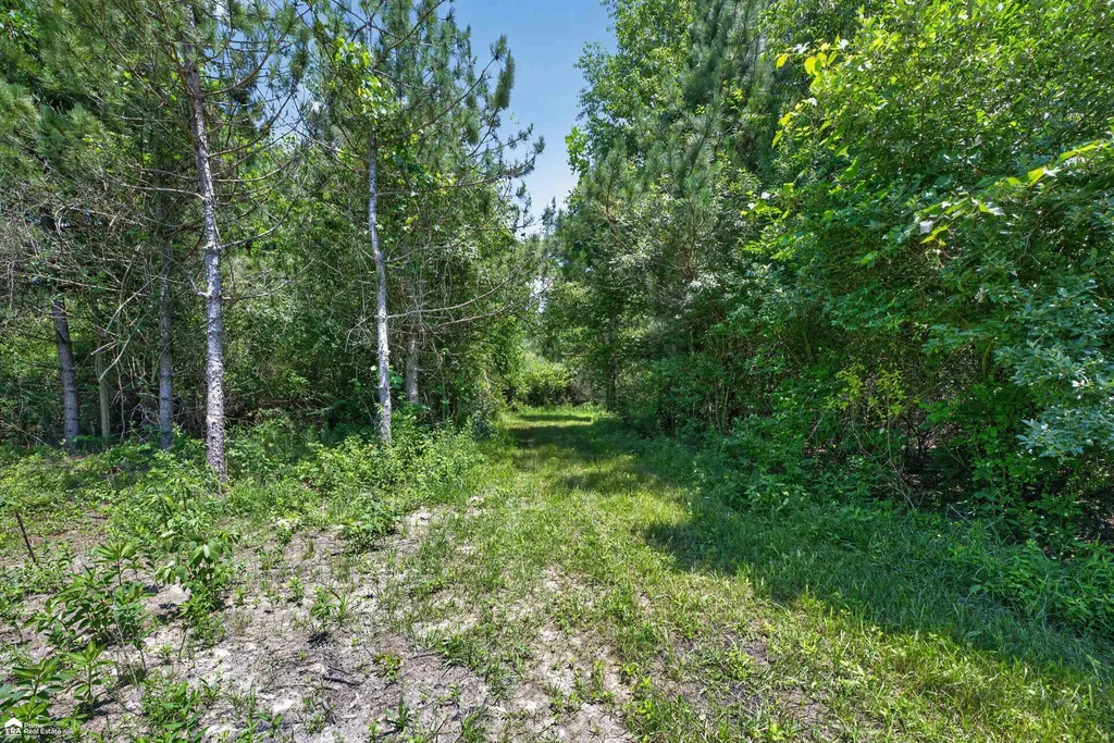 5498 Piersonville Road Marathon Township MI 48421