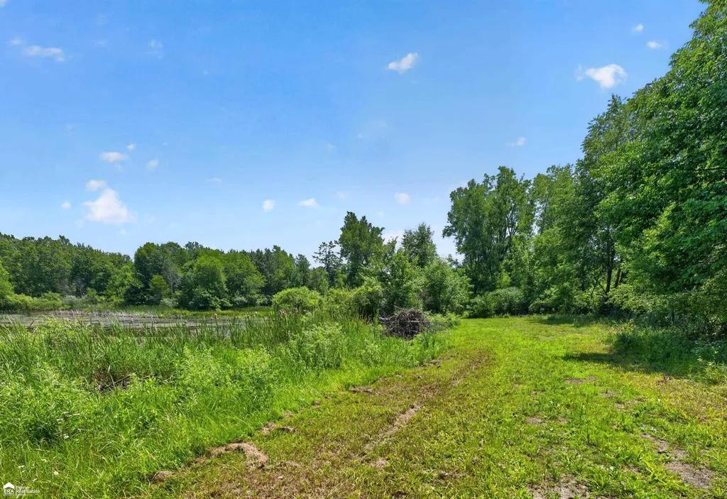 5498 Piersonville Road Marathon Township MI 48421