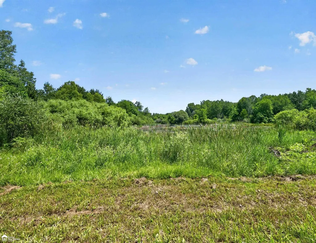 5498 Piersonville Road Marathon Township MI 48421