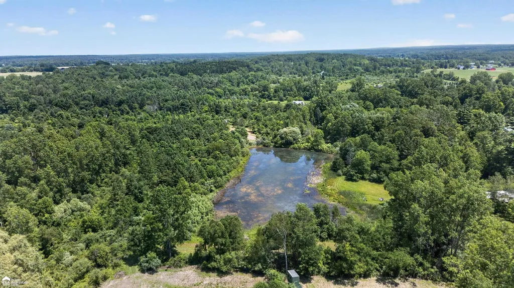 5498 Piersonville Road Marathon Township MI 48421