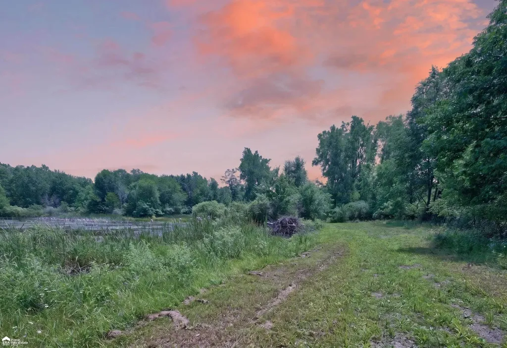 5498 Piersonville Road Marathon Township MI 48421